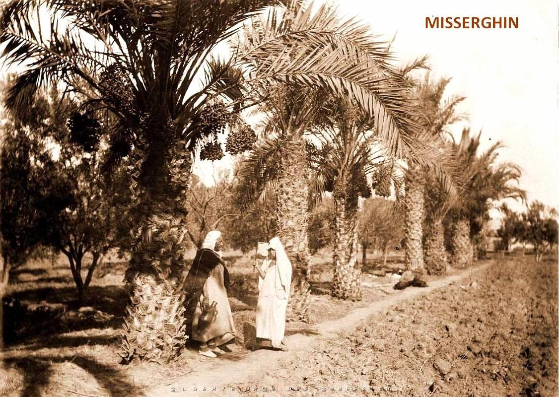 Misseghin 521.jpg